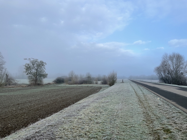 La D110 est bordée d'un large accotement parfaitement entretenu. A gauche, on devine un chemin parallèle à la route. Nous décidons de le rejoindre, et justement, un passage est aménagé au niveau des arbustes.