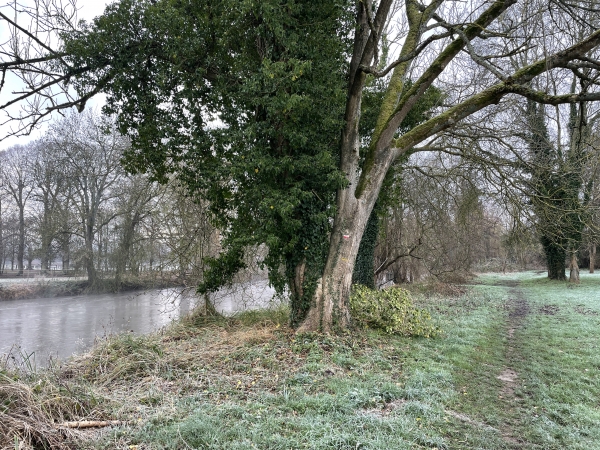 Nous suivons maintenant le délicieux chemin du bord de l'Eure à Val-de-Reuil et au Vaudreuil.