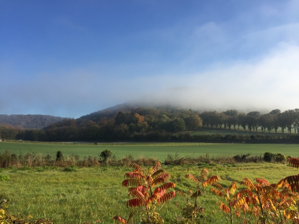 Au nord, la colline du Bois de la Catignolle est encore en partie sous le brouillard.