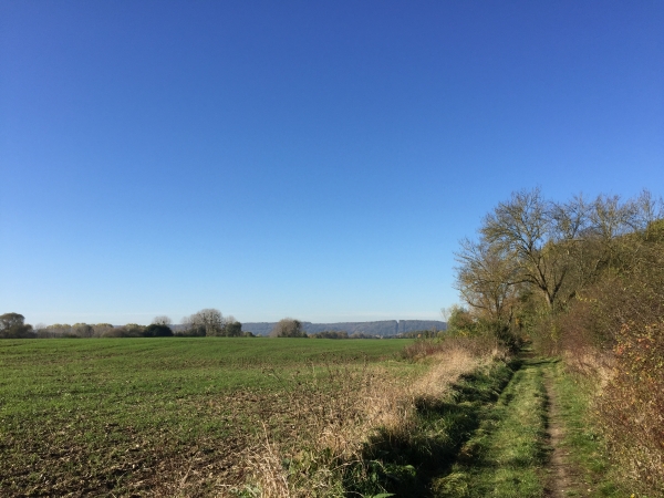 Nous sommes sur le GR2, le long de la Grande-Prairie, dans les marais de Seine.