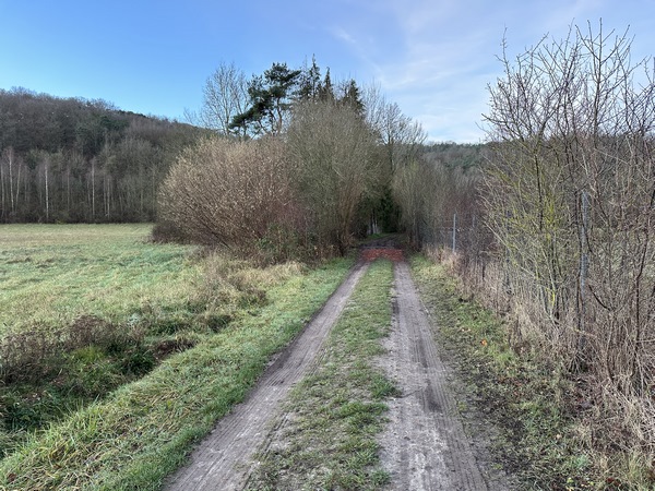 Rapidement, nous entrons dans le bois de Ligneraie.