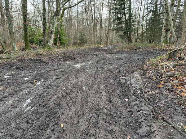 Au sommet, les engins d'un chantier forestier ont labouré le chemin. On se croirait dans une forêt domaniale de Seine-Maritime. C'est un passage désagréable, mais ça ne durera que le temps du chantier.