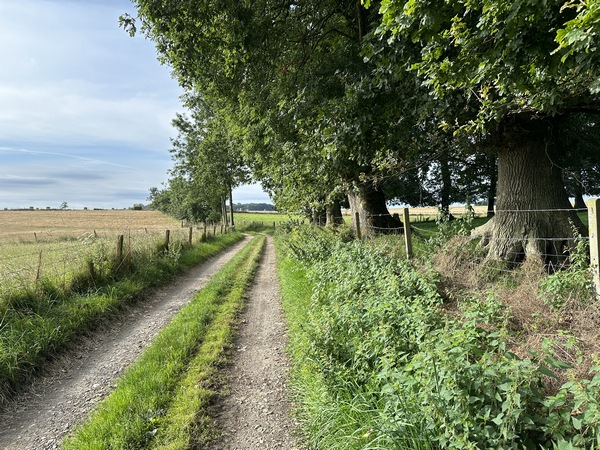 Avant d'entrer dans Bennetot, nous tournons sur le chemin qui va longer l'A29.