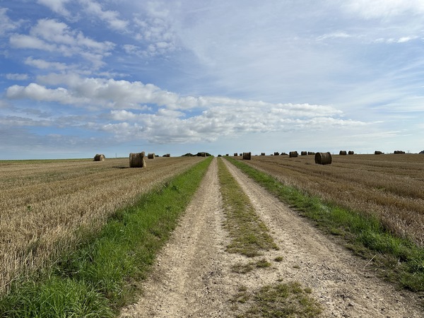 Nous suivons la route d'Hugleville-en-Caux, et tournons sur ce chemin de la plaine du Vaux d'Auge.