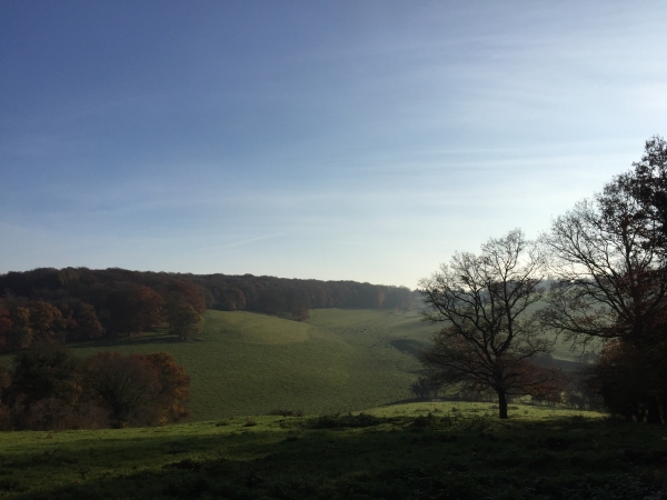 Nous voici maintenant en lisière du Bois de Bruquedalle, nous dominons le Fond d'Enfer.