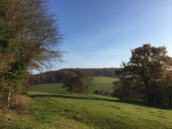 Notre chemin longe le Bois de Bruquedalle, dans des paysages vallonnés coiffés de collines boisées.