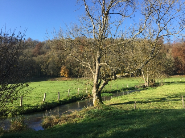 Le Héron et sa douce vallée au Bas-Tot. Nous allons maintenant suivre la petite route de Clanquemeule pour fermer la boucle.