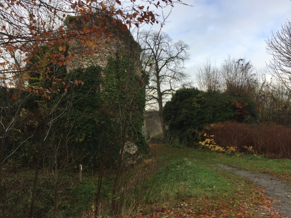 Nous traversons les vestiges du château féodal construit au XIe sicèle par Gautier Giffard, seigneur de Longueville et compagnon de Guillaume le Conquérant.