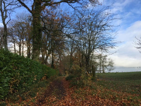 Nous suivons maintenant le GR210 en direction du Bois Hulin.
