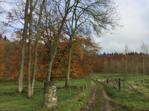 GR210 en direction du Bois Hulin.
