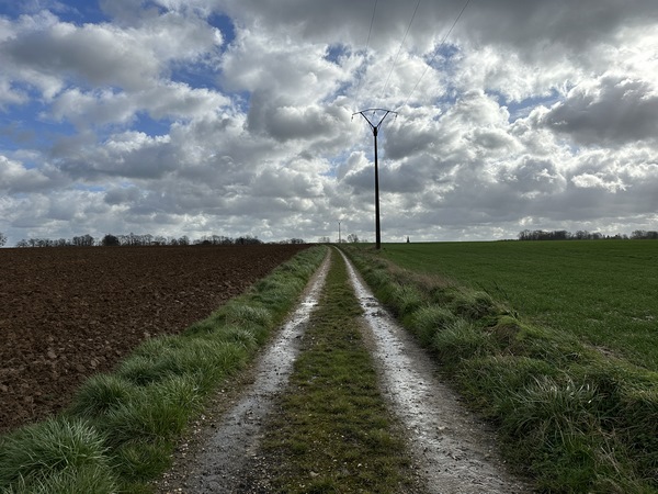 J'arrive sur le premier chemin de ce circuit, le Chemin du Clos Masure.