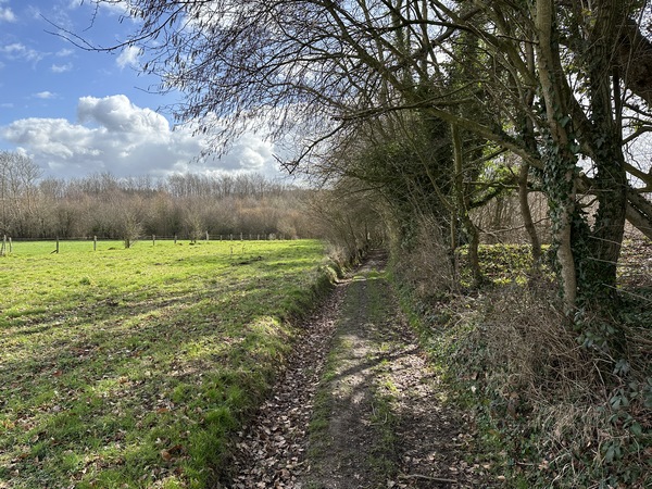 L'impasse se termine en chemin, et descend dans les bois du coteau de la Saâne.
