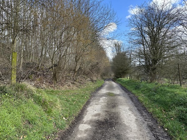 Avant d'arriver dans la vallée de la Saâne, je tourne ici à gauche, pour remonter dans le bois des Cinq Acres.