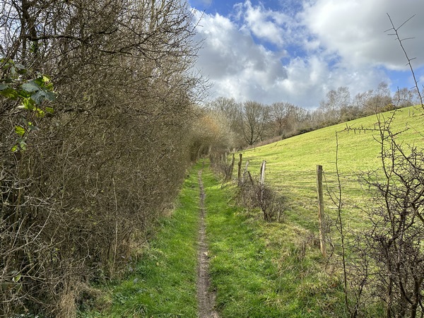 Le chemin est agréable, et console d'une première partie un peu trop goudronnée.