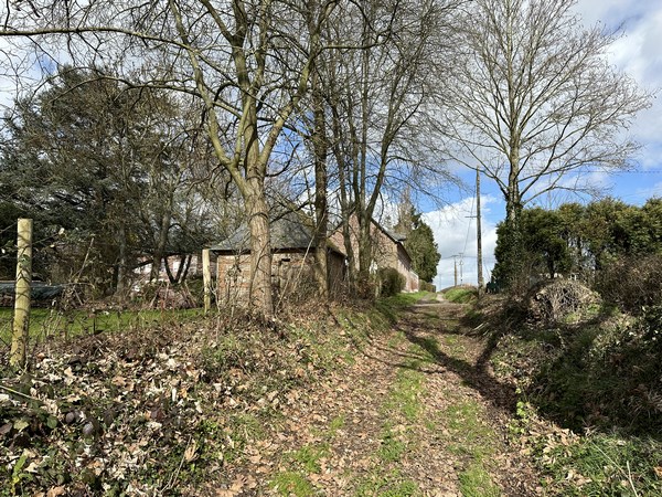 Dernière petite montée avant l'entrée dans St-Laurent-en-Caux.