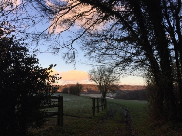 Vallée Becquet. Nous allons tourner à droite vers le Bois Maréchal.