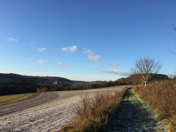 Nous sommes maintenant au nord de la Méline, à mi pente du coteau.