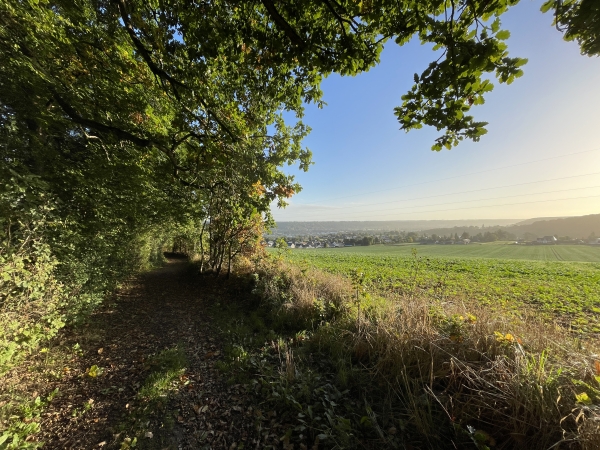 Le chemin de crête avance en lisière et offre de beaux panoramas sur les vallées de la Véronne et de la Risle. Nous dominons aussi la vallée de la Tourville, mais celle-ci est cachée par le bois de Pincheloup à ma gauche.