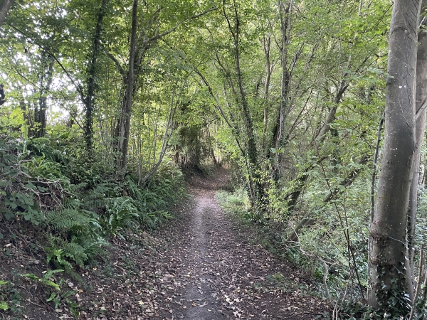 La Sente de la Mailleraie descend vers la Tourville.
