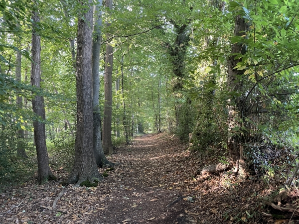 Ce circuit offre une collection de délicieux chemins.