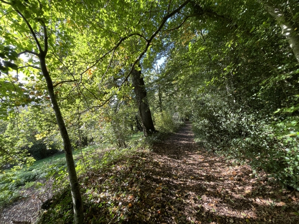 Le chemin descend maintenant vers la Tourville.