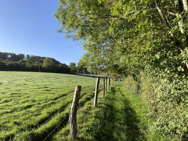 Je monte le chemin de la Cressonnière vers le Mont Joie.