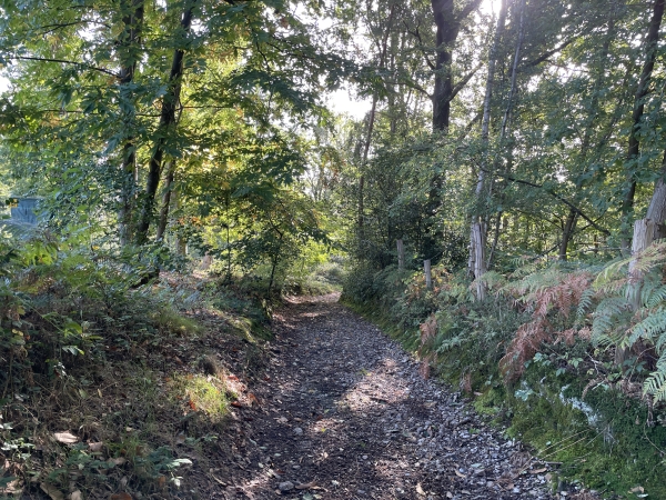 Je redescends dans la vallée en direction la Selles.