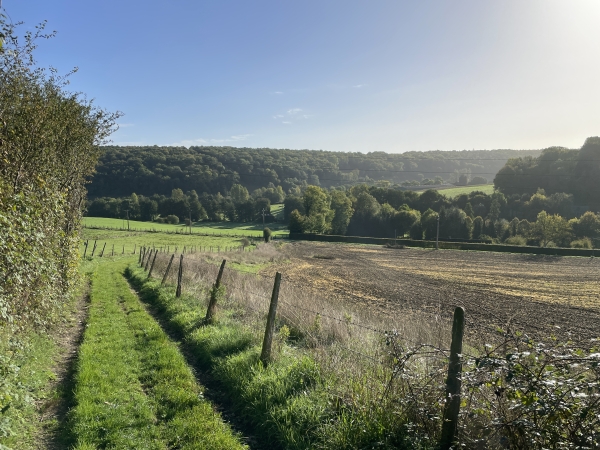 Panorama sur le vallon de la Selles.
