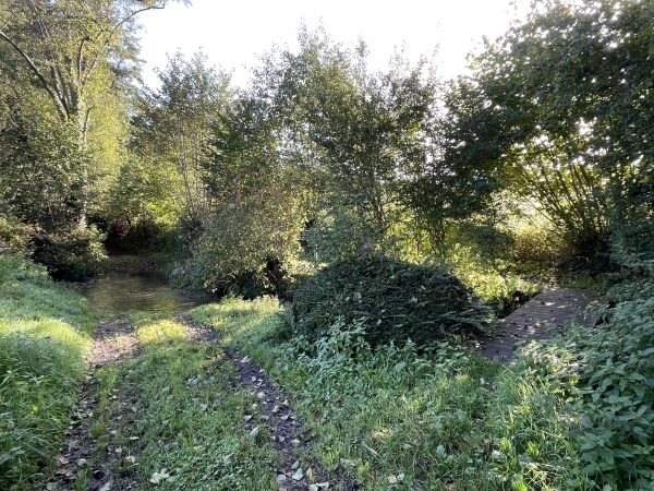 Gué sur la Selles. Pas de panique : il y a une passerelle à droite.