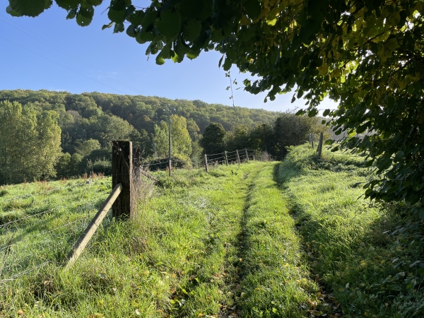 Brève remontée pour retrouver la route de Siglas.