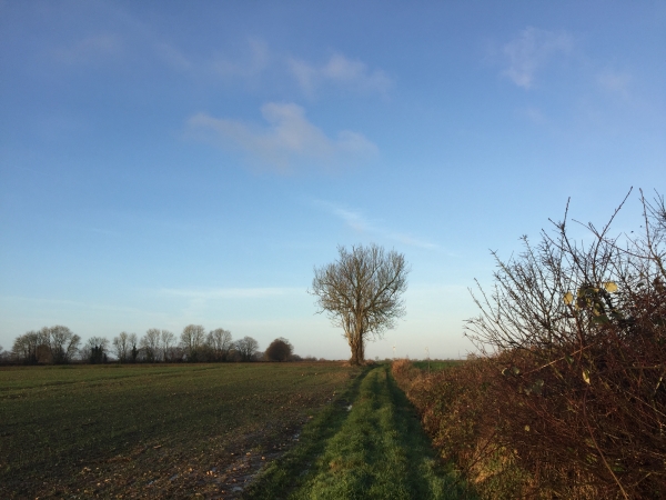 Criquiers. Nous sommes à la frontières entre la Seine-Maritime et l'Oise.