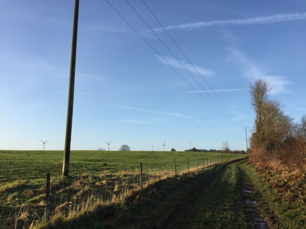Chemin du Bois des Puits entre le Bout-Là-Haut et le Nouveau Monde.