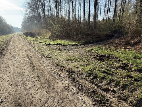 Nous évitons les grandes allées rectilignes, quittons donc ici la Route Impériale et allons suivre le chemin à droite en direction de la voie forestière des Damps.
