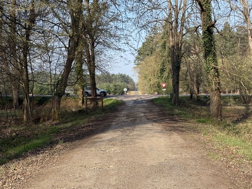 Nous allons traverser la très fréquentée D6015, et prendre en face la voie forestière d'Incarville (pour éviter au maximum la route forestière de Cobourg).