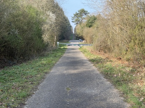 Nous avons fini par rejoindre la route forestière de Cobourg. Nous allons traverser la D79 et continuer en face.