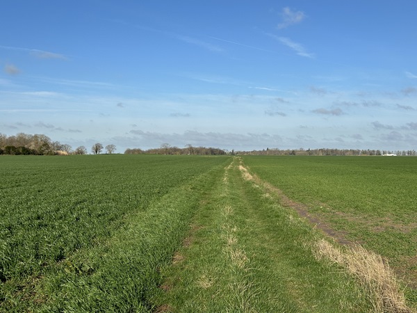 Nous traversons la plaine entre Graveron et Bernienville sur ce chemin.