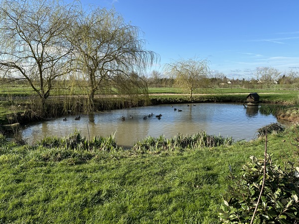 La rue principale de Bernienville longe une seconde mare, à proximité d'une ferme.
