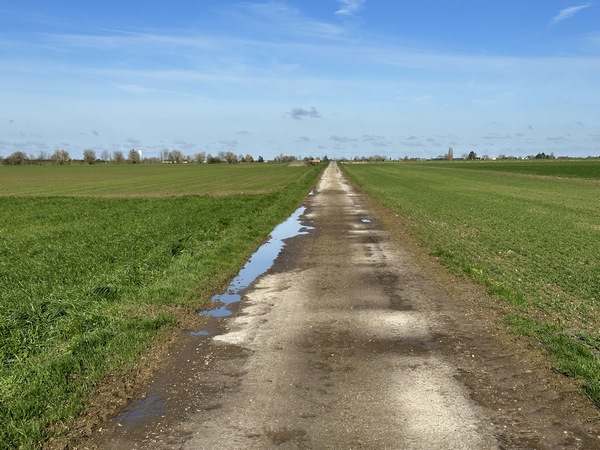 Nous avons traversé la D39 et suivons ce chemin qui file droit vers Quittebeuf.