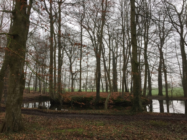 Il y a peu de vestiges des périodes celtique, romaine et franque dans le canton de Yerville, mais la région était autrefois formée principalement de marécages et de bois, et la prolifération de mottes entourées de fossé attire l'attention (ref : JP Ferrer, Cahiers de Terres de Caux).