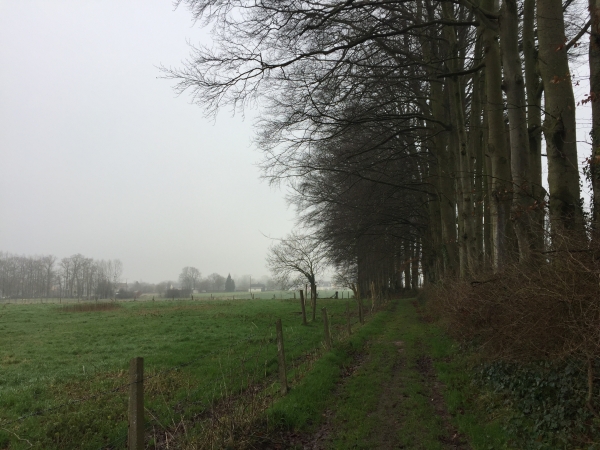 Notre parcours est composé d'une alternance de petites routes et de chemins.