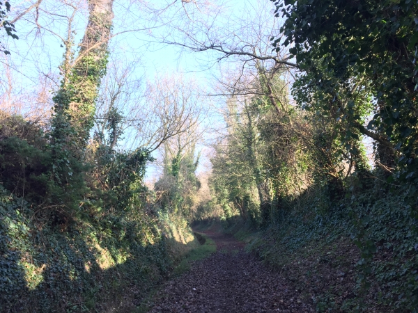 Nous quittons Envermeu par la Cavée de Bray qui monte sur le coteau nord de l'Eaulne.