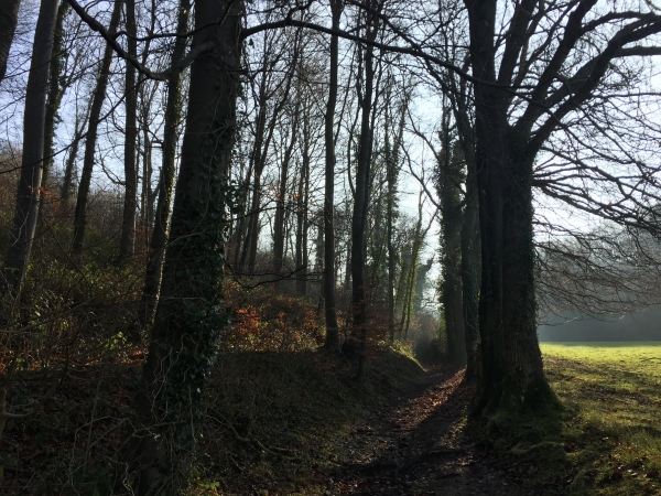 Nous remontons vers St-Nicolas-d'Aliermont par le chemin du Bois d'Hybouville.