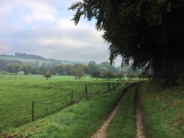 Nous suivons maintenant le chemin d'Imbleval le long de la vallée de l'Eaulne.