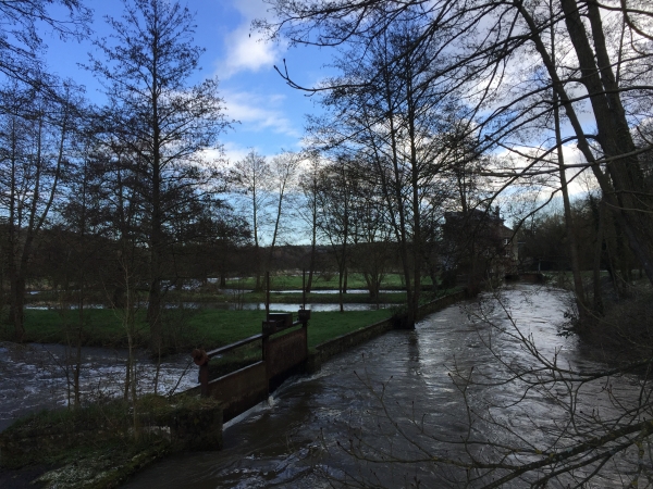 Nous avons descendu le bois de Courcelles et traversons la Charentonne à Camfleur.