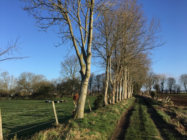 St-Quentin-la-Motte-Croix-aux-Bailly (ouf!), contour du bourg par les chemins.