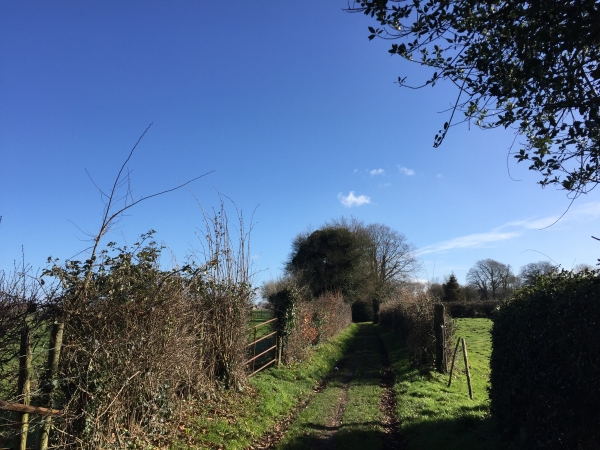 Retour vers St-Quentin-la-Motte par le chemin des Casernes.