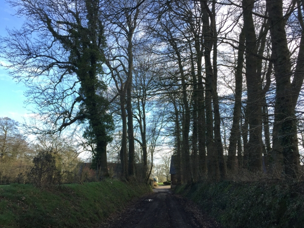 Plaine de Tonneville.