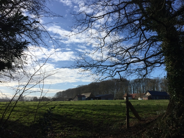 Entrée à Canville-les-Deux-Eglises par la rue Notre-Dame.
