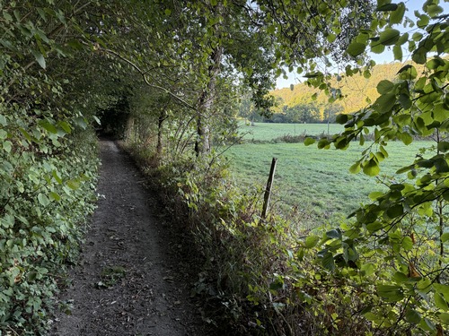 Après le hameau, nous marchons sur le chemin en lisière du bois du Mont du Lys, en léger surplomb du ruisseau.