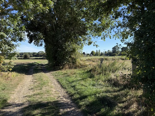 Nous sommes sur le chemin des Faneuses, qui a donné son nom à ce circuit.